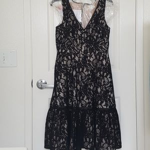 Eliza J black and nude lace dress